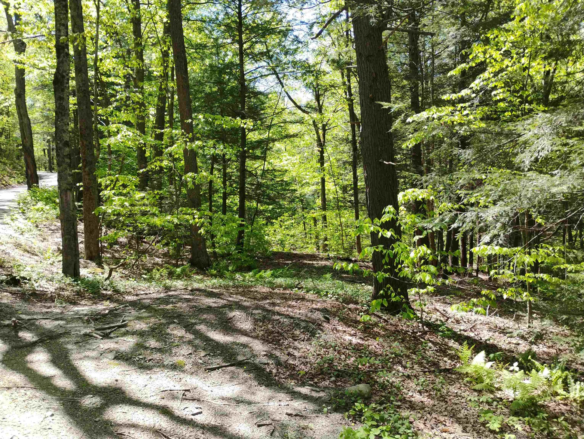 Part Of 215 Melendy Hill Road Guilford VT 05301