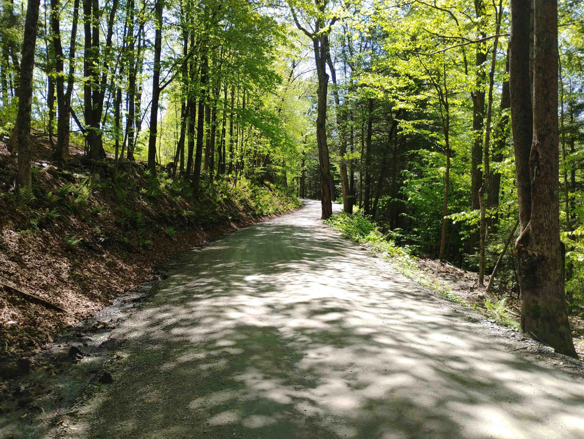 215 Melendy Hill Road Guilford VT 05301