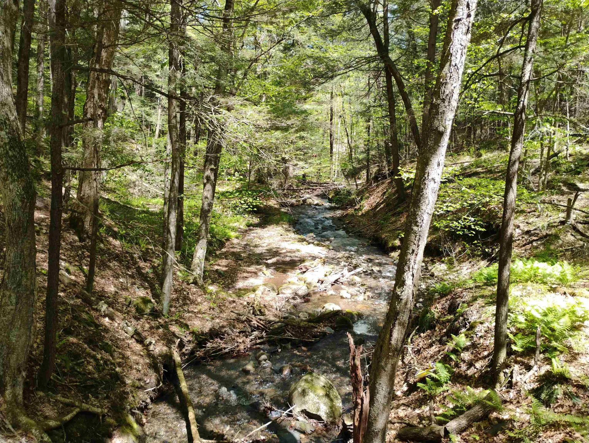 Part Of 215 Melendy Hill Road Guilford VT 05301