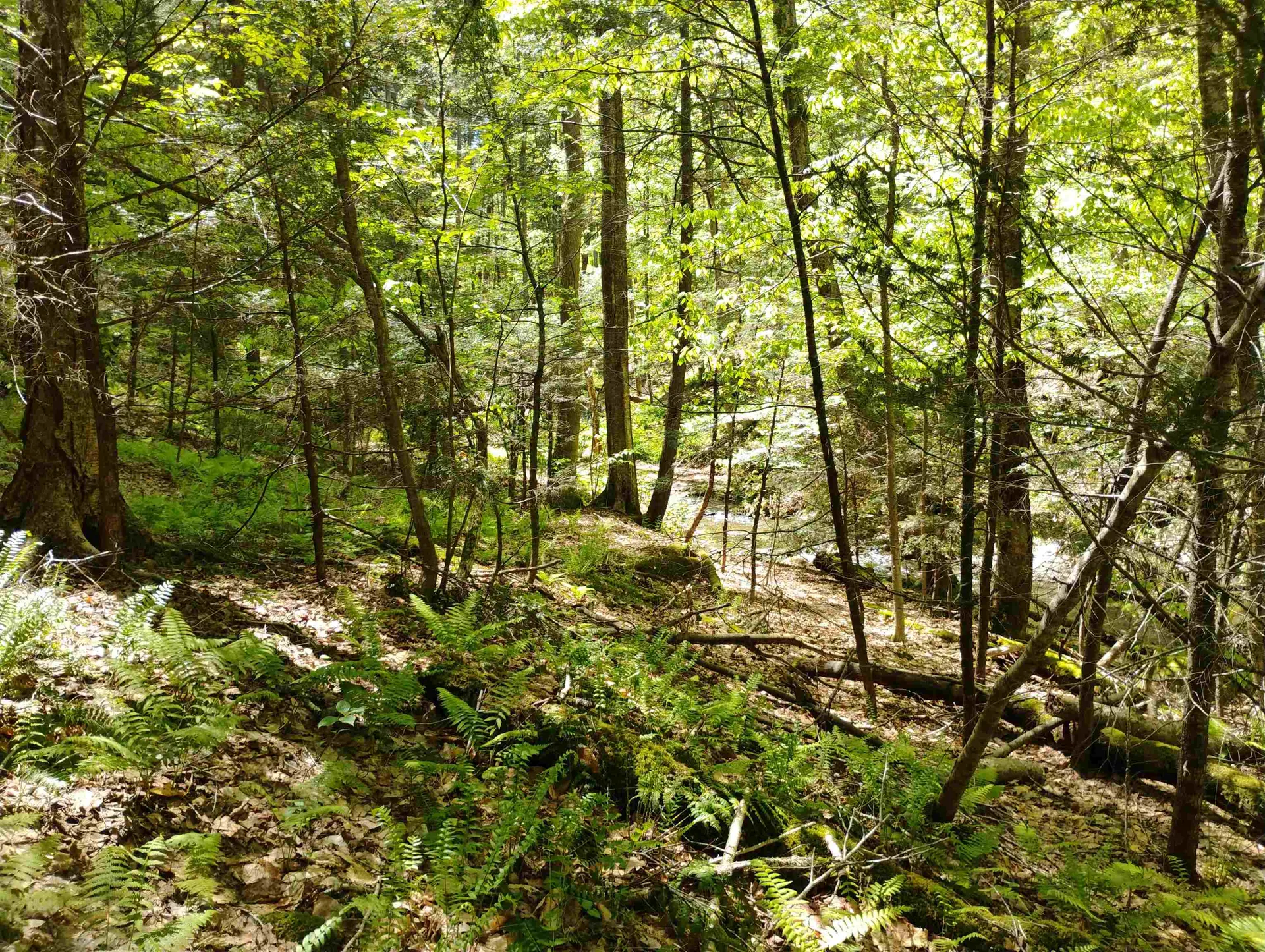 Part Of 215 Melendy Hill Road Guilford VT 05301