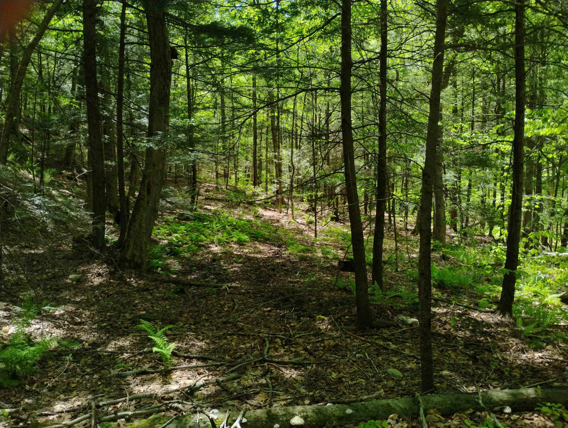 Part Of 215 Melendy Hill Road Guilford VT 05301
