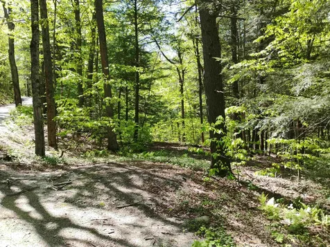 Part Of 215 Melendy Hill Road Guilford VT 05301