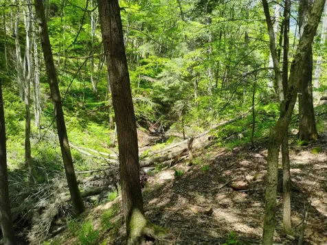 Part Of 215 Melendy Hill Road Guilford VT 05301