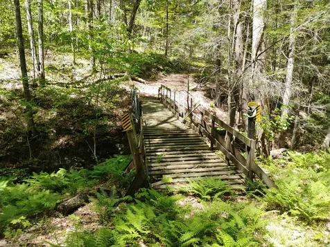 215 Melendy Hill Road Guilford VT 05301