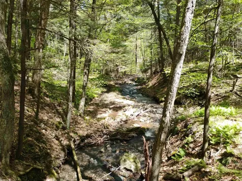 Part Of 215 Melendy Hill Road Guilford VT 05301