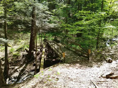 Part Of 215 Melendy Hill Road Guilford VT 05301