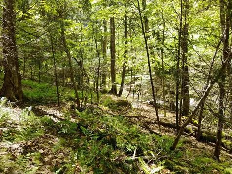 215 Melendy Hill Road Guilford VT 05301