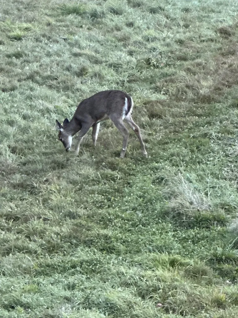 201 Pope Road Lowell VT 05847