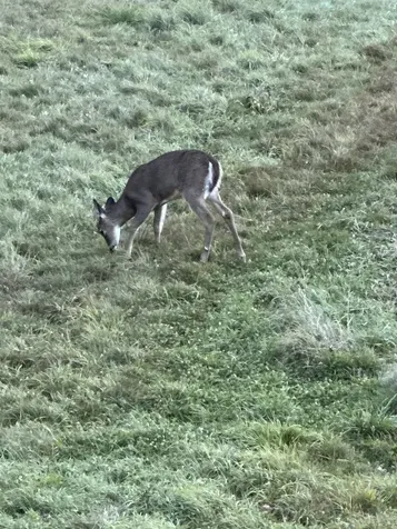 201 Pope Road Lowell VT 05847