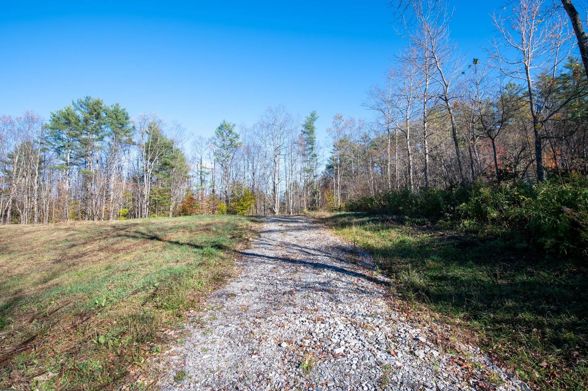 2366 Middletown Road Londonderry VT 05148