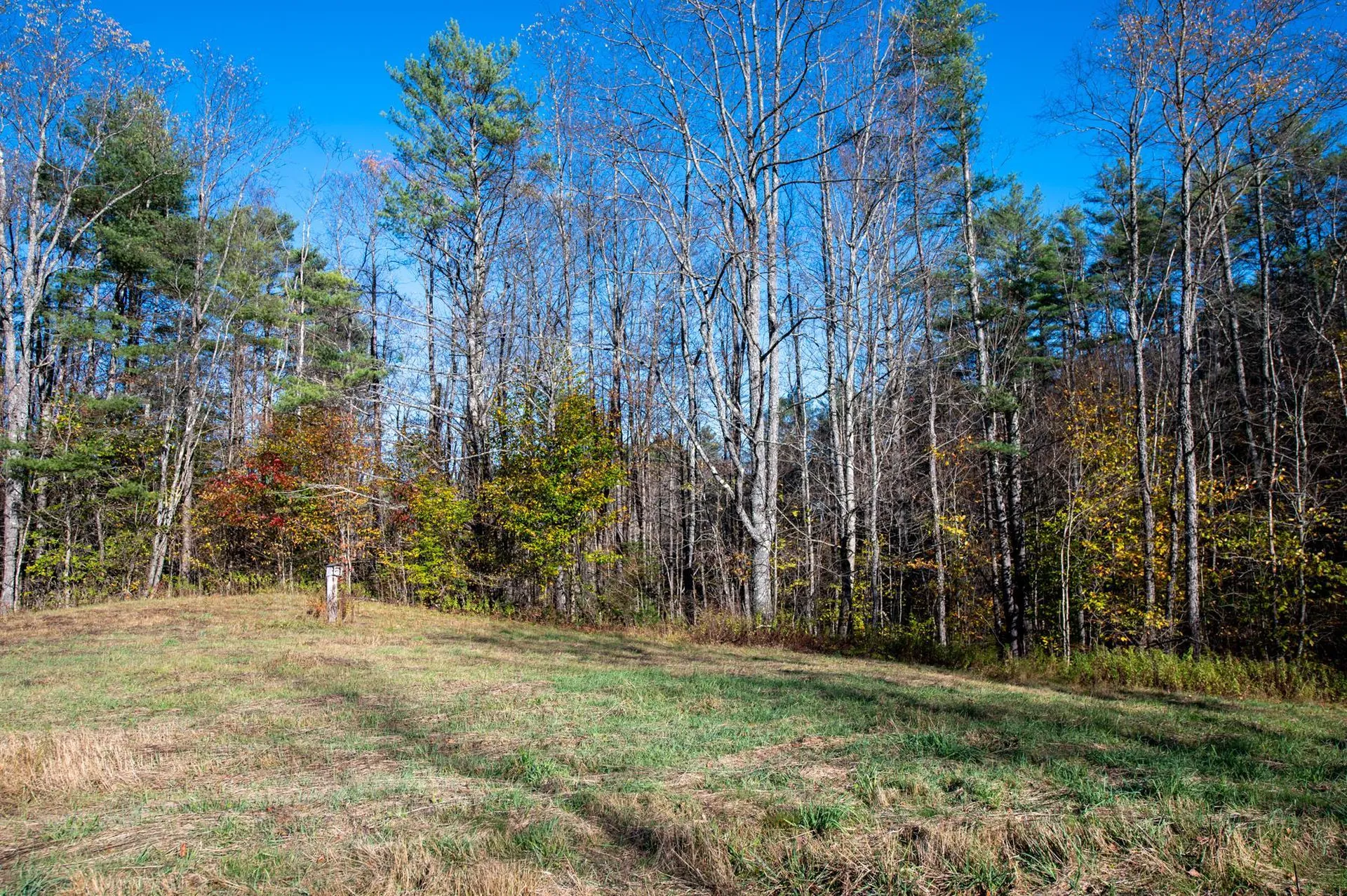 2366 Middletown Road Londonderry VT 05148