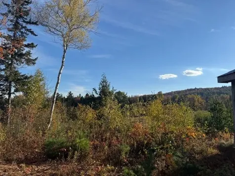 339 Kingdom Road Albany VT 05845