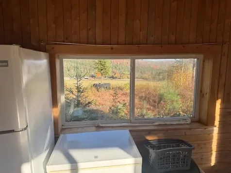 339 Kingdom Road Albany VT 05845