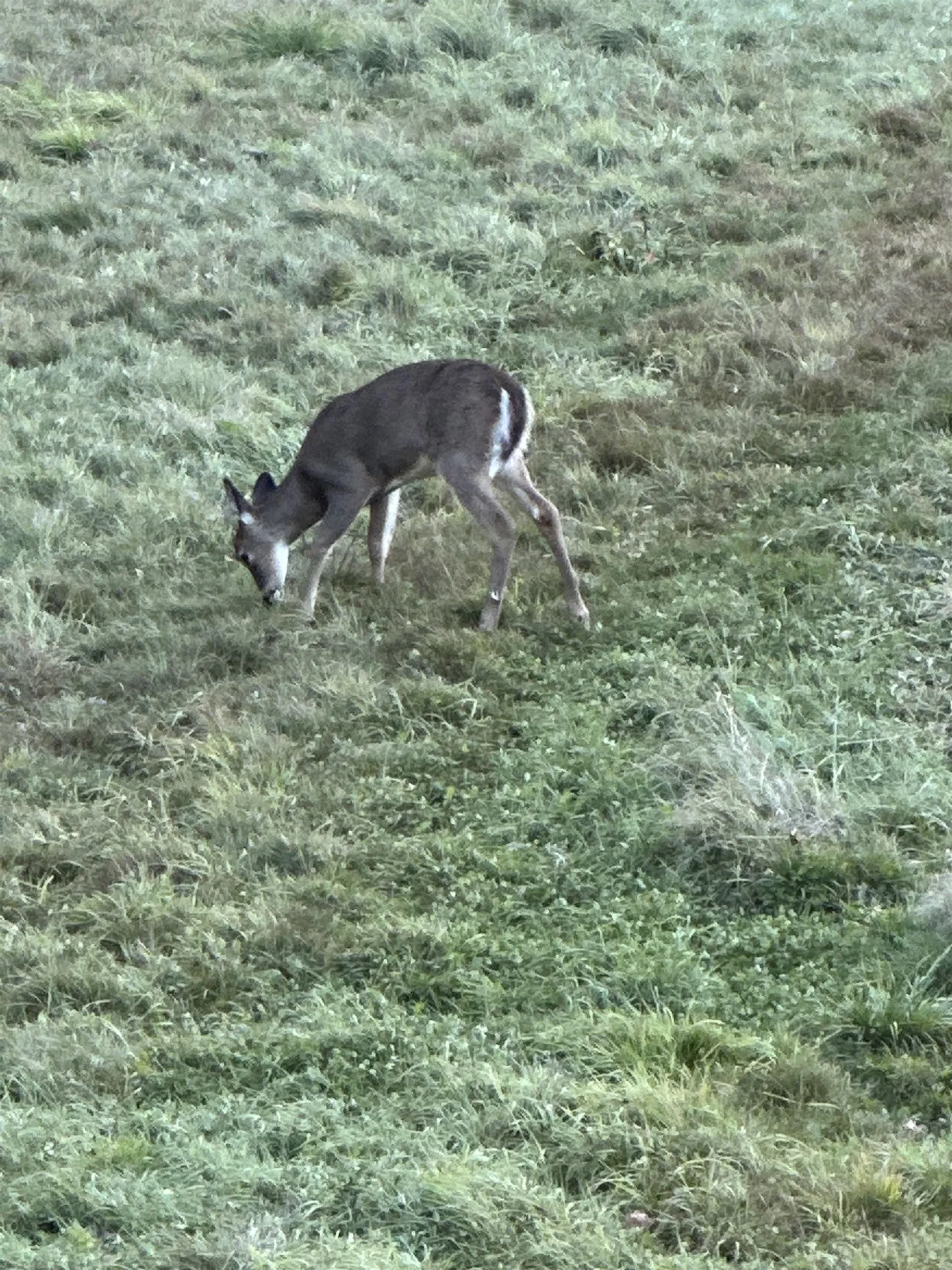 201 Pope Road Lowell VT 05847