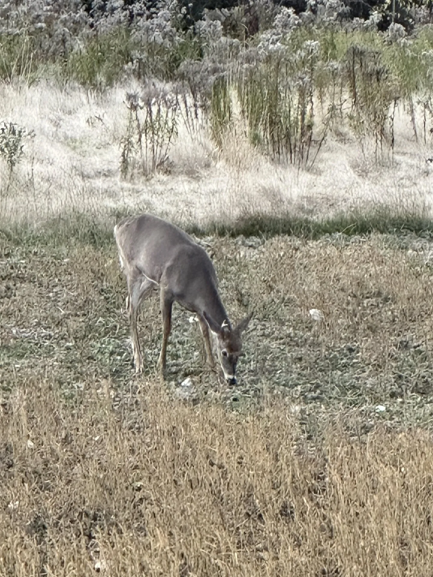 201 Pope Road Lowell VT 05847