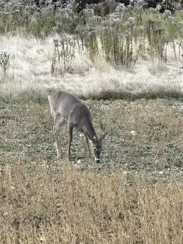 201 Pope Road Lowell VT 05847