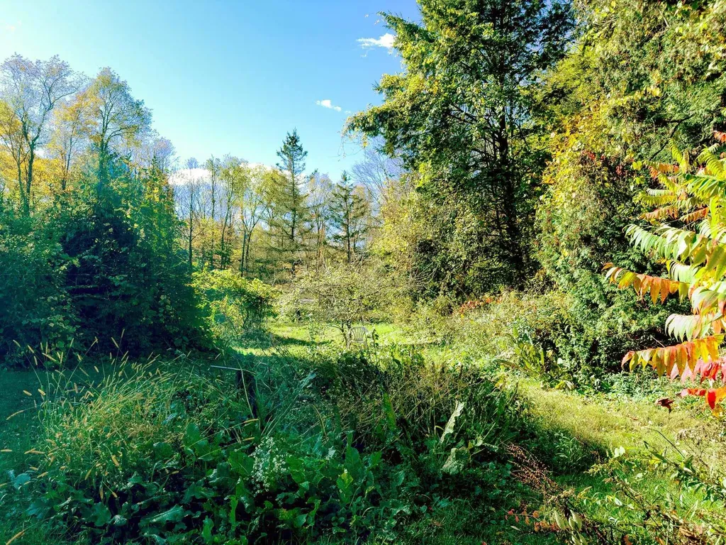 100 River Street Alstead NH 03602