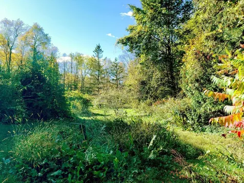 100 River Street Alstead NH 03602