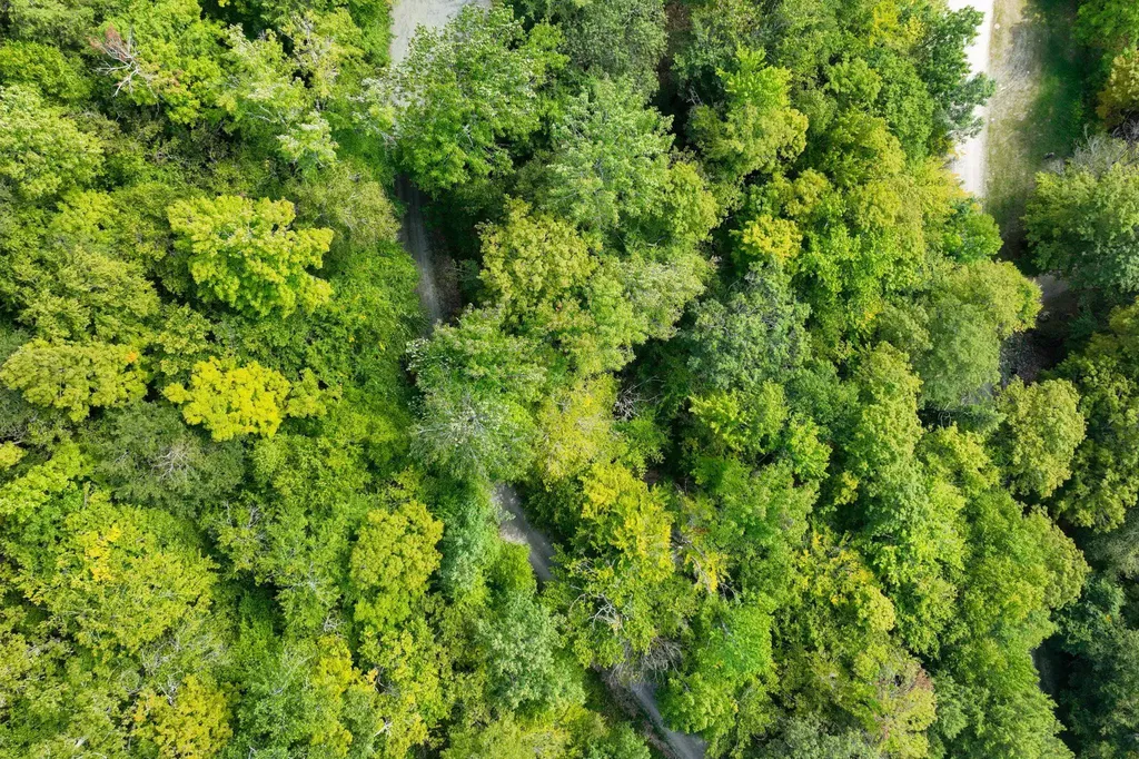 2-66 Goshawk Road Plymouth VT 05056