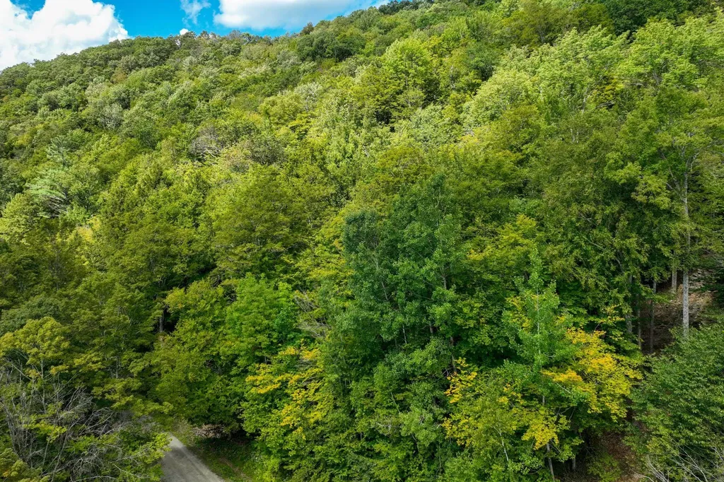 2-66 Goshawk Road Plymouth VT 05056