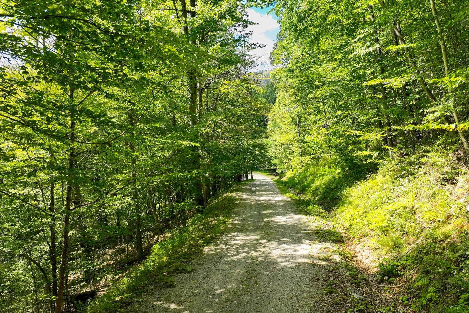 2-66 Goshawk Road Plymouth VT 05056