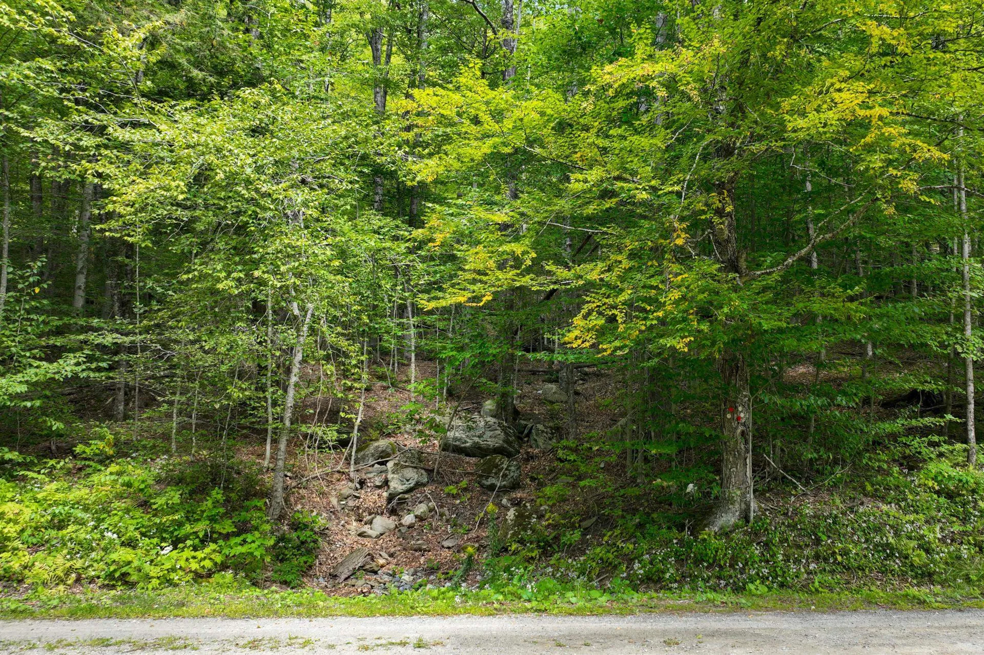 2-66 Goshawk Road Plymouth VT 05056