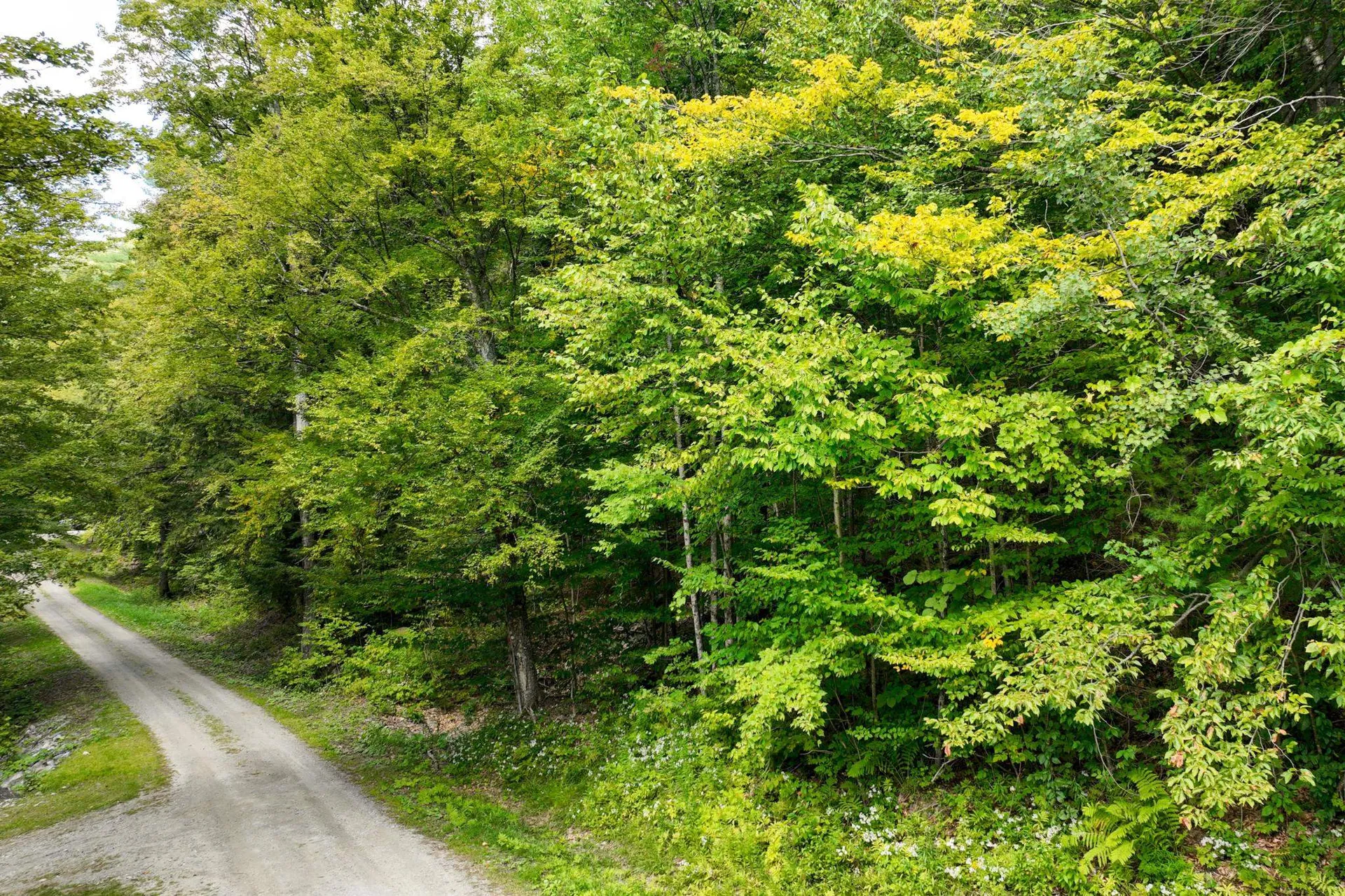 2-66 Goshawk Road Plymouth VT 05056