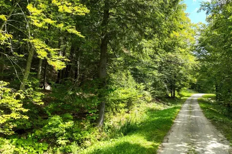 2-66 Goshawk Road Plymouth VT 05056