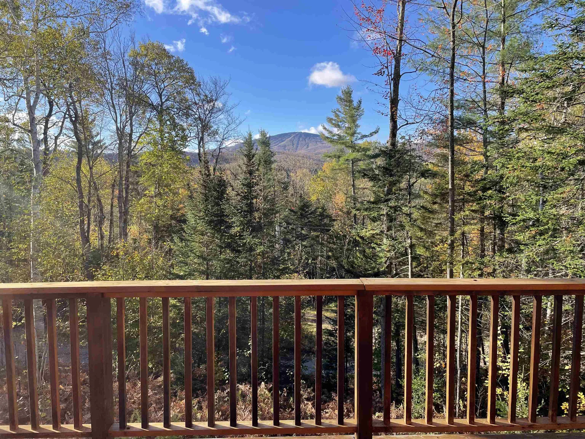 2 Aspen Lane Winhall VT 05340