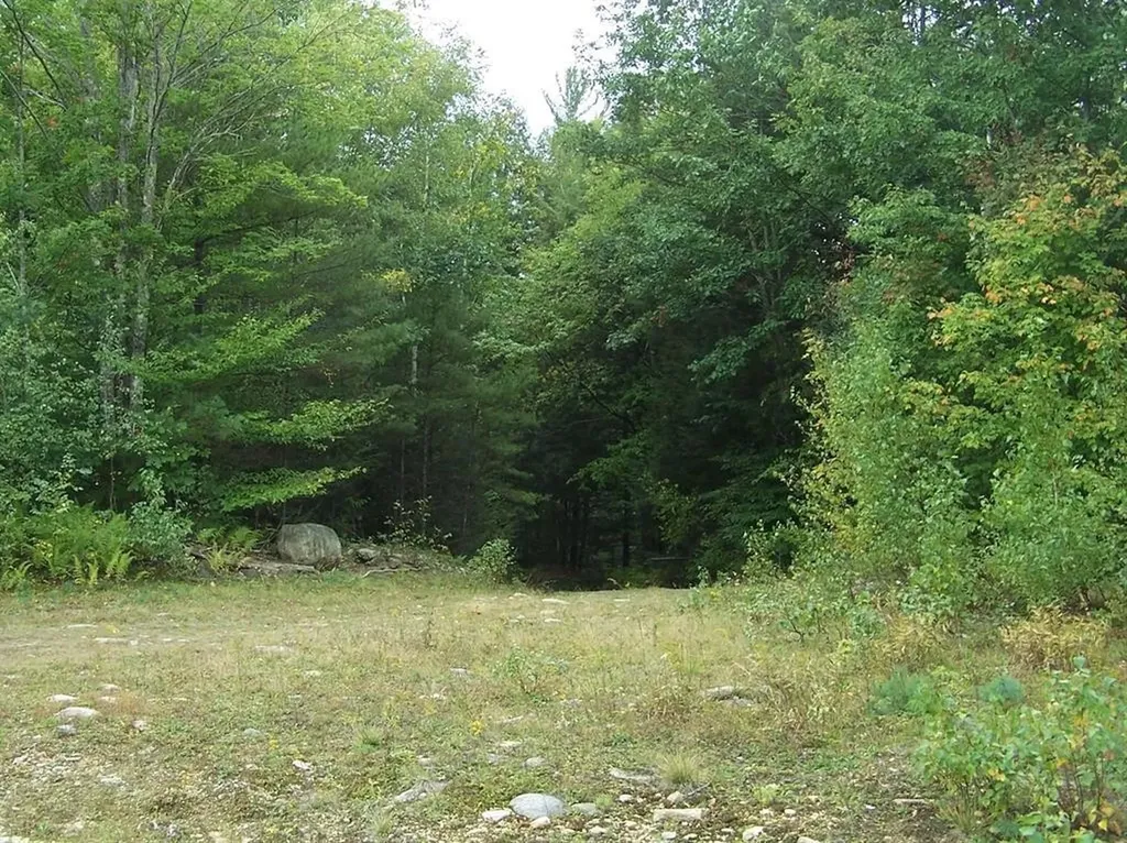 Lot 7 Hall Road Bristol NH 03222
