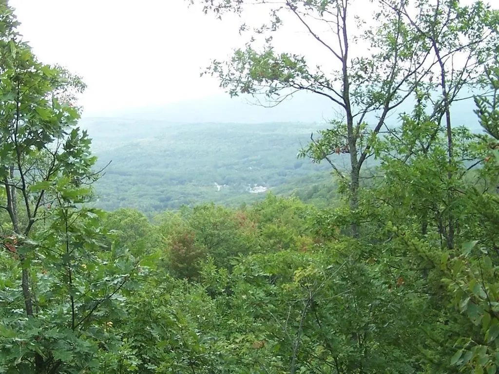 Lot 7 Hall Road Bristol NH 03222