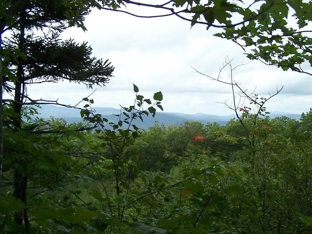 Lot 7 Hall Road Bristol NH 03222