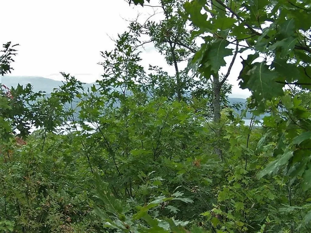 Lot 7 Hall Road Bristol NH 03222