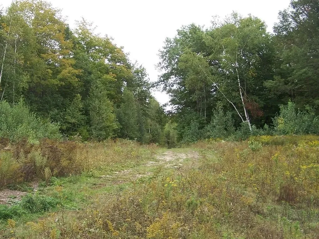 Lot 7 Hall Road Bristol NH 03222