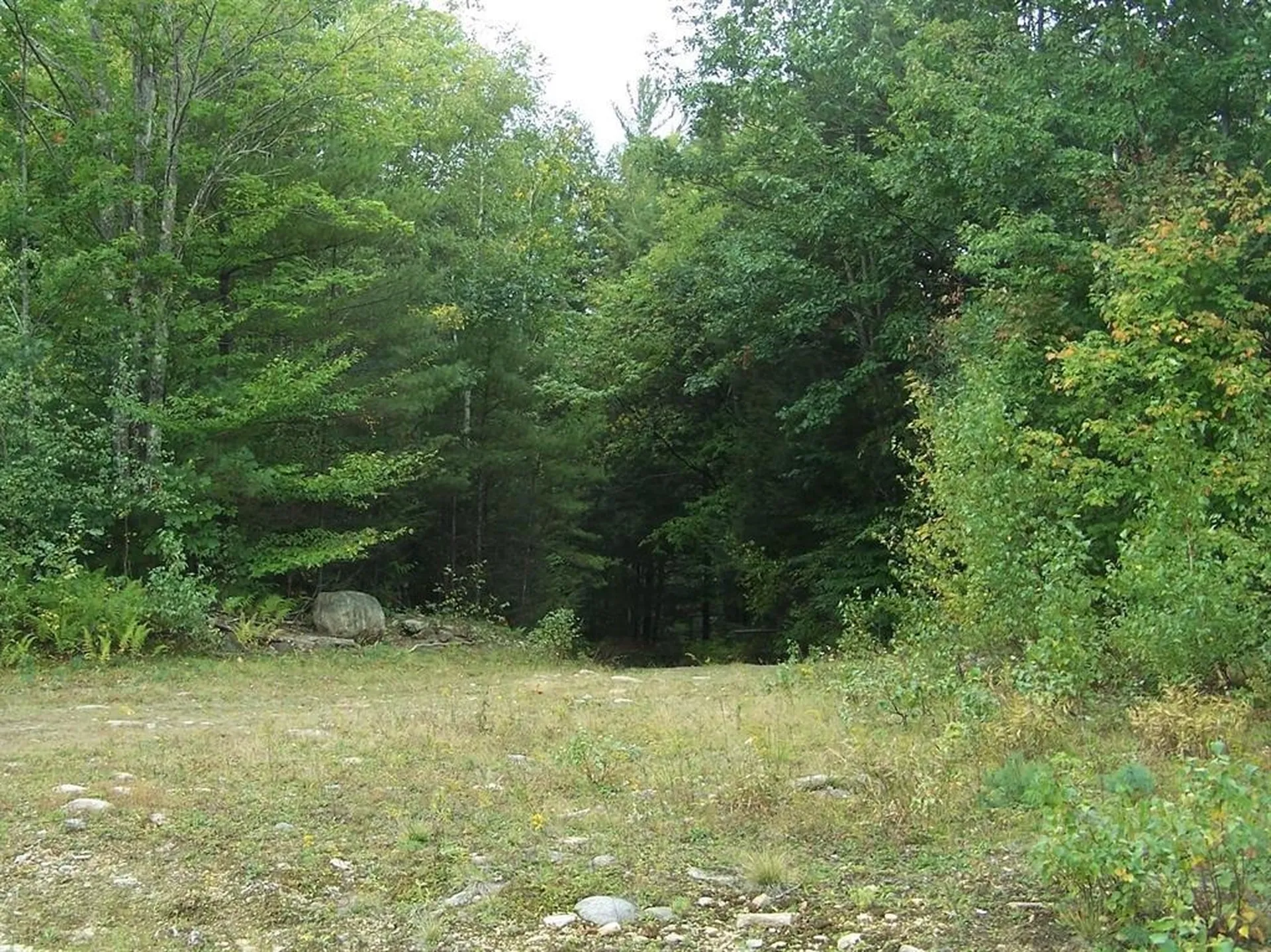 Lot 7 Hall Road Bristol NH 03222