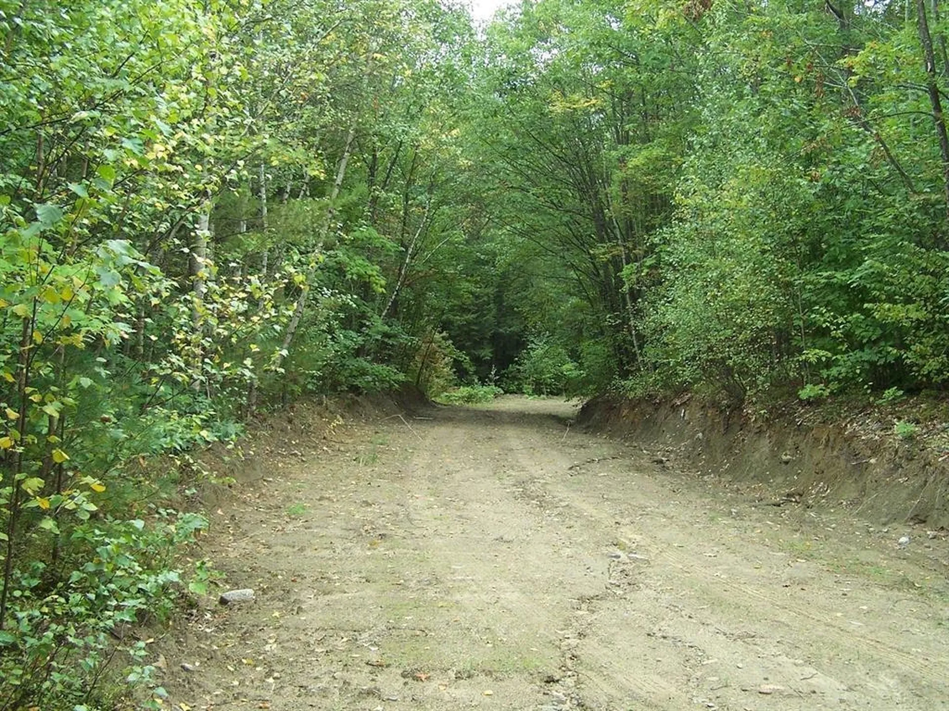 Lot 7 Hall Road Bristol NH 03222