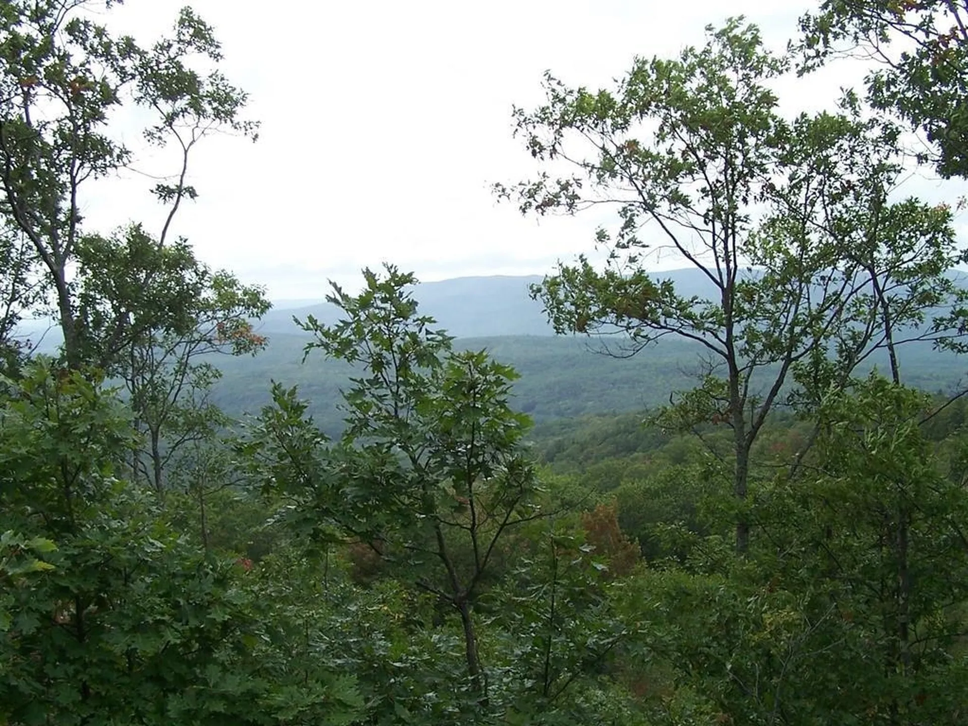 Lot 7 Hall Road Bristol NH 03222