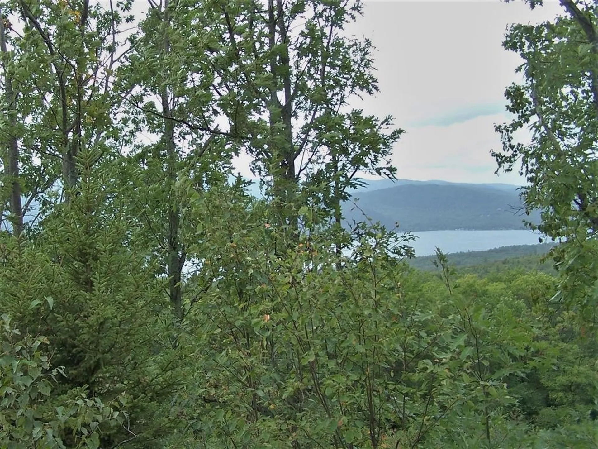 Lot 7 Hall Road Bristol NH 03222