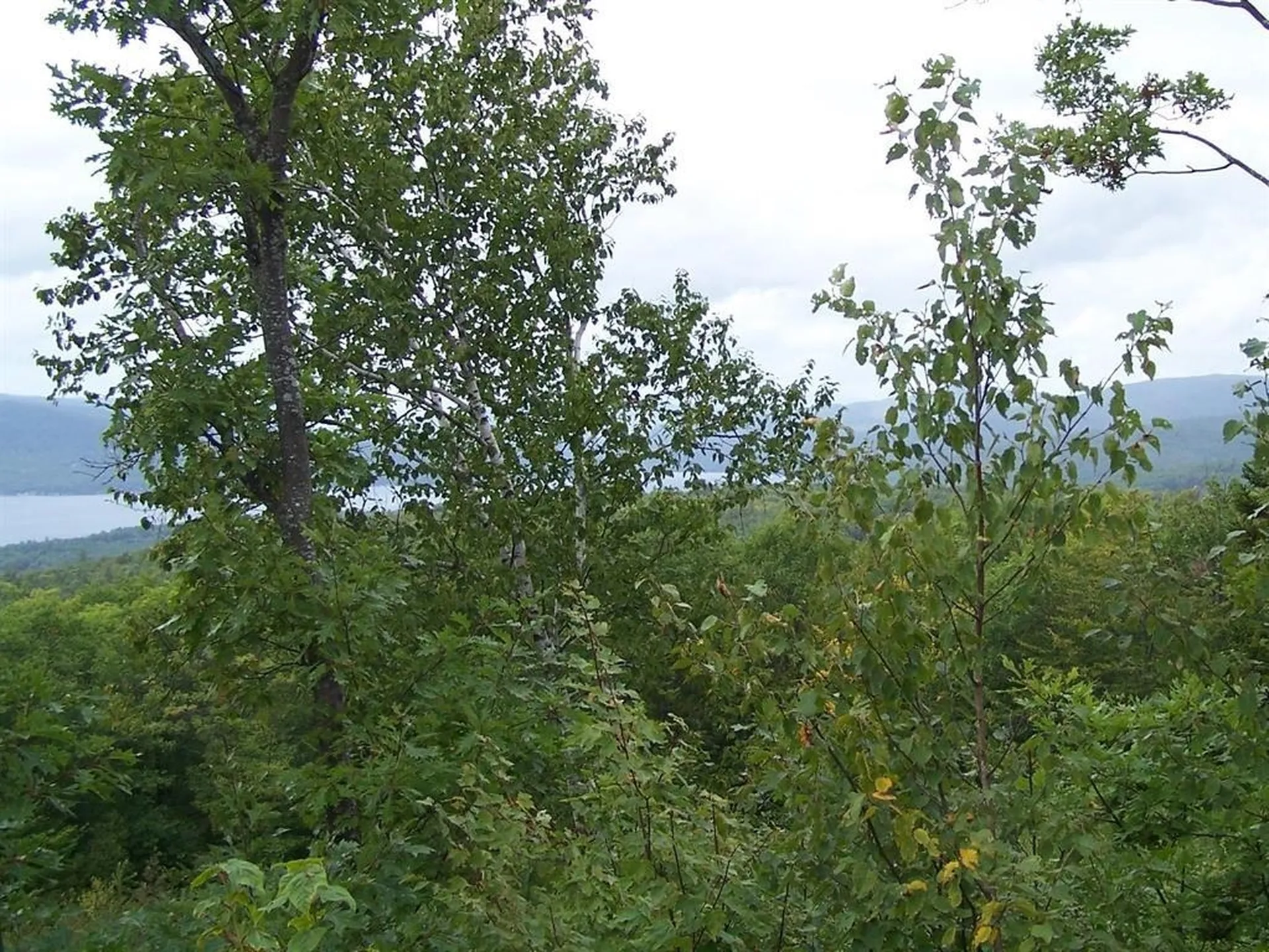 Lot 7 Hall Road Bristol NH 03222