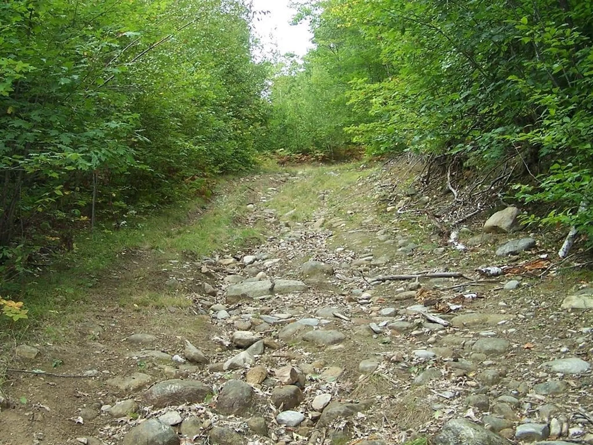 Lot 7 Hall Road Bristol NH 03222