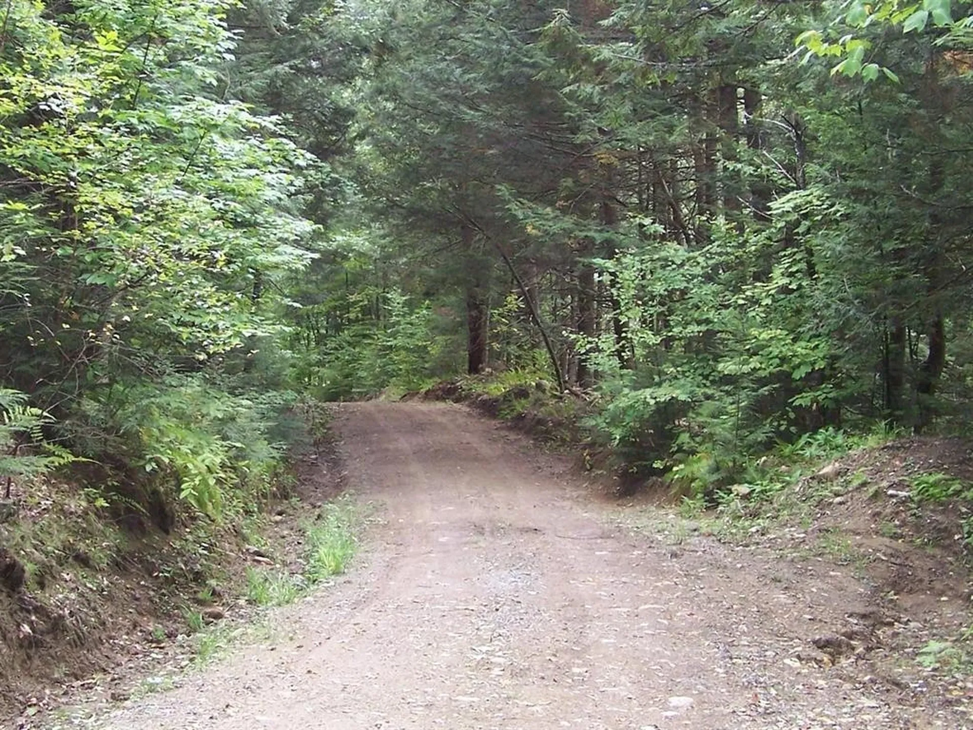 Lot 7 Hall Road Bristol NH 03222