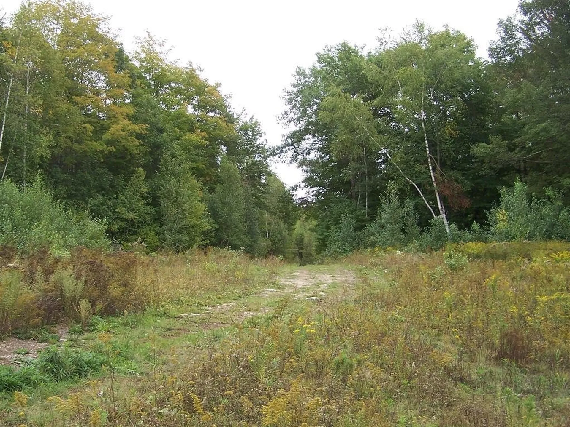 Lot 7 Hall Road Bristol NH 03222