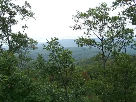 Lot 7 Hall Road Bristol NH 03222