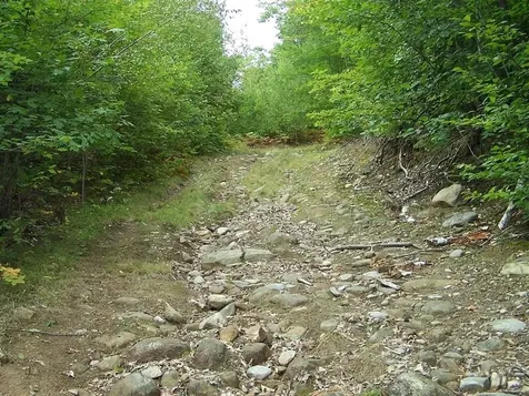 Lot 7 Hall Road Bristol NH 03222