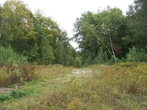 Lot 7 Hall Road Bristol NH 03222