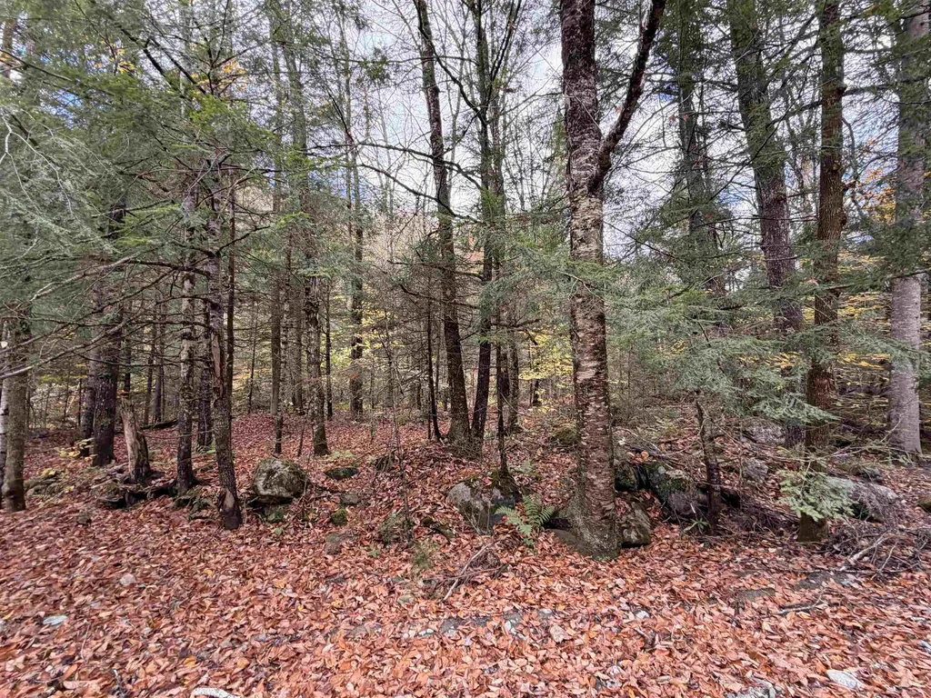 Th 2 Brook Road Middlesex VT 05602