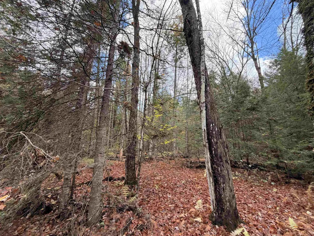 Th 2 Brook Road Middlesex VT 05602