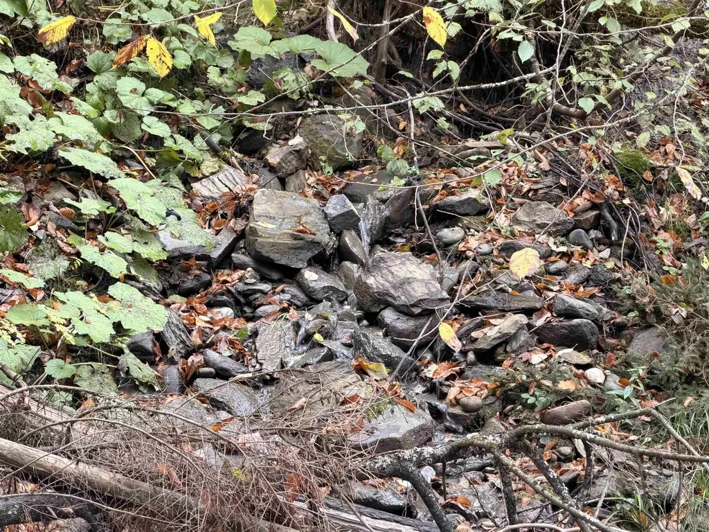 Th 2 Brook Road Middlesex VT 05602