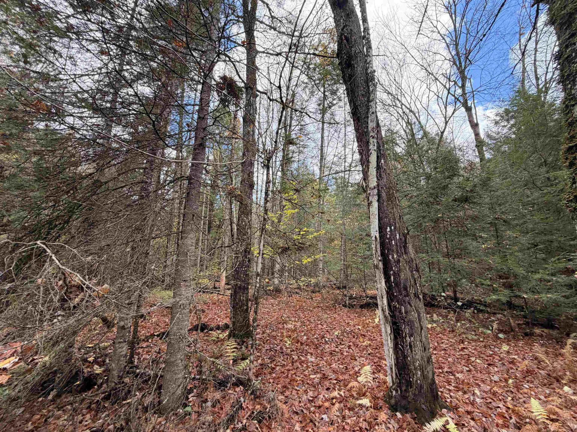 Th 2 Brook Road Middlesex VT 05602