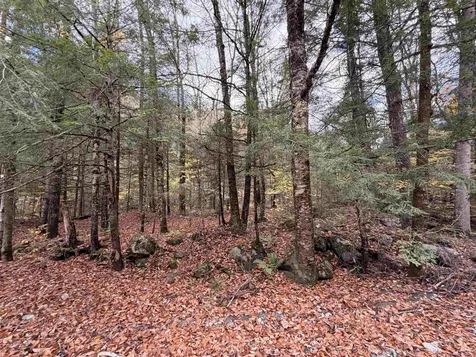 Th 2 Brook Road Middlesex VT 05602